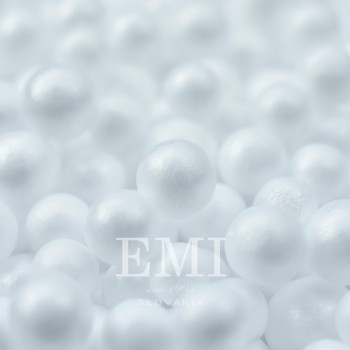Наповнення_мішка_для_сидіння_25l_Delux_EMI