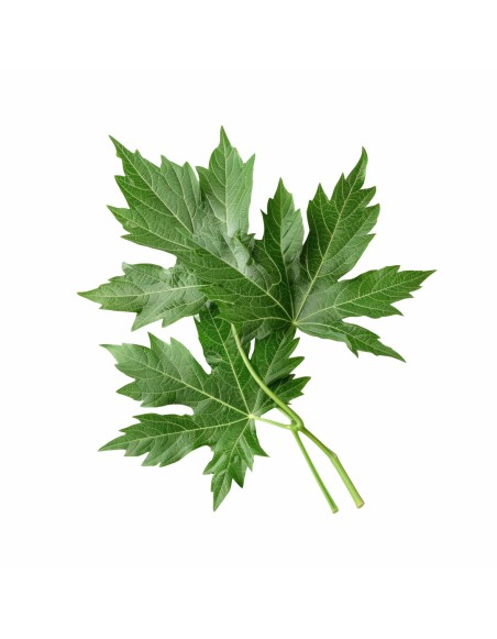 eko_podushka_emi_mugwort_z_naturalnoyu_aromaterapiyeyu