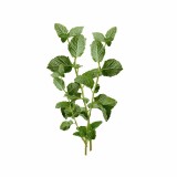detal_napovnyuvacha_z_naturalnoyu_sushenoyu_myatoyu