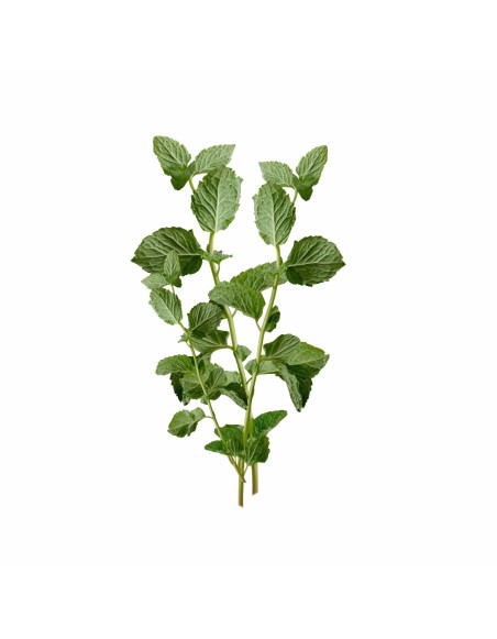 detal_napovnyuvacha_z_naturalnoyu_sushenoyu_myatoyu