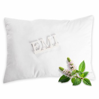 zaspokiyliva_podushka_z_melisoyu_v_interieri_spalni