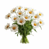 eko_podushka_emi_chamomile_dlya_zdorovogo_snu_ta_relaksu