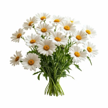 eko_podushka_emi_chamomile_dlya_zdorovogo_snu_ta_relaksu