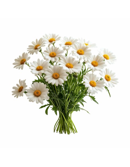 eko_podushka_emi_chamomile_dlya_zdorovogo_snu_ta_relaksu