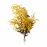 detal_napovnyuvacha_z_naturalnoyu_sushenoyu_albiziyeyu_emi
