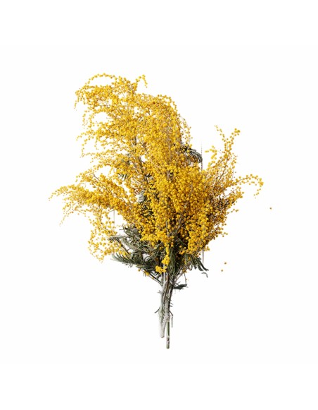 detal_napovnyuvacha_z_naturalnoyu_sushenoyu_albiziyeyu_emi