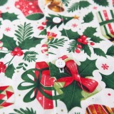 r_zdvyana_post_lna_b_lizna_holly_jolly_emi_4