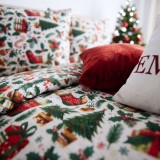 r_zdvyana_post_lna_b_lizna_holly_jolly_emi_8