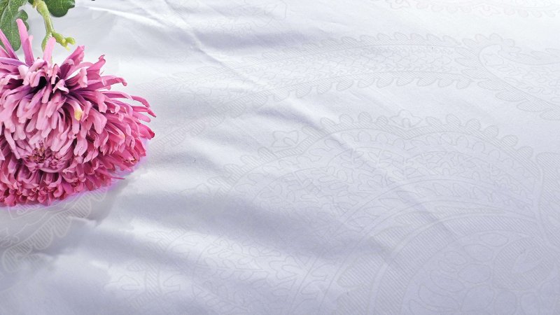 Бавовняна_постільна_білизна_Benard_біла_EMI