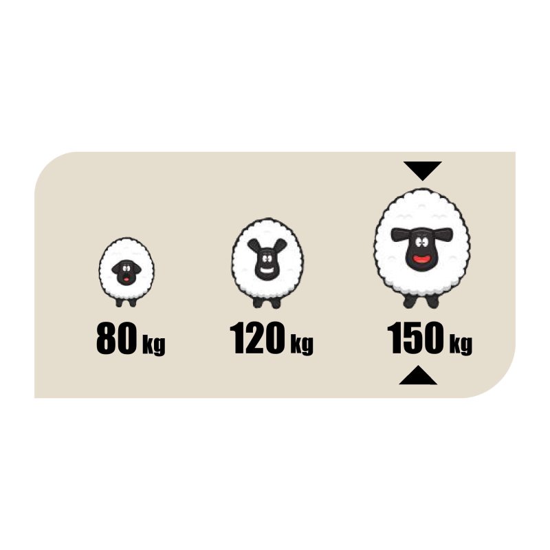 Пружинний_матрац_Iris_EMI