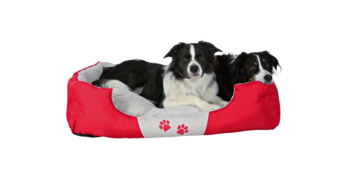 ЯК ВИБРАТИ ЛЕЖАК ДЛЯ ВИХОВАНЦІВ?